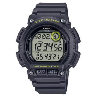 Мужские часы Casio WS-2100H-8A